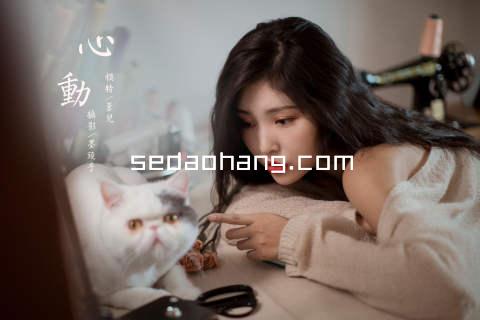 sedaohang.com